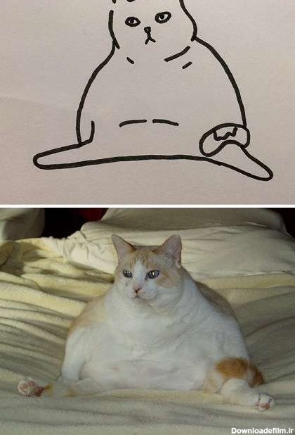 نقاشی‌های واقعی و خنده دار از گربه‌ها