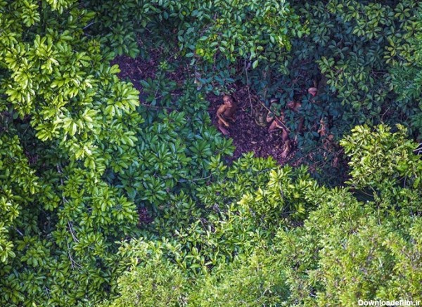 عکس/تصاویر هوایی از بومیان آمازون‎