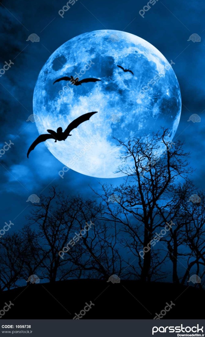 خفاش ها در برابر ماه کامل و شبح درخت مفهوم شب وحشت 1059738