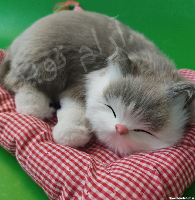 عروسک گربه موزیکال خوابیده - آرام تویز