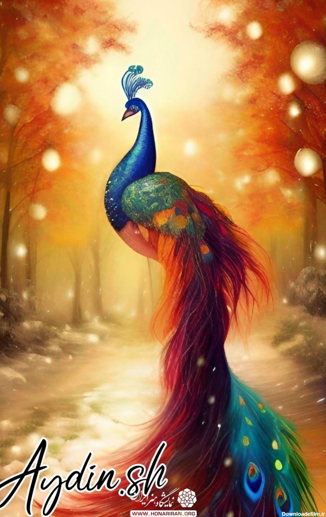 تصویر سازی طاووس رنگی - نمایشگاه هنر ایران