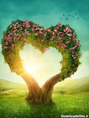 عکس درخت پر گل شکل قلب