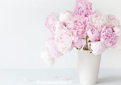 عکس گل در گلدان سفید