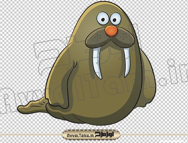 دانلود فایل vector عکس کارتونی شیر دریایی :: اول طرح