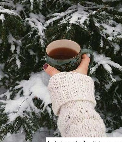 عکس چای زمستان
