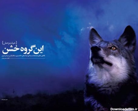 گرگ ایرانی - این گروه خشن