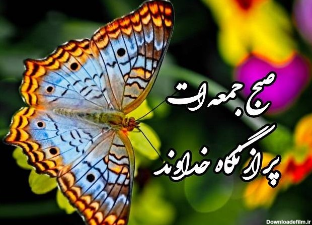 عکس صبح بخیر صبح جمعه