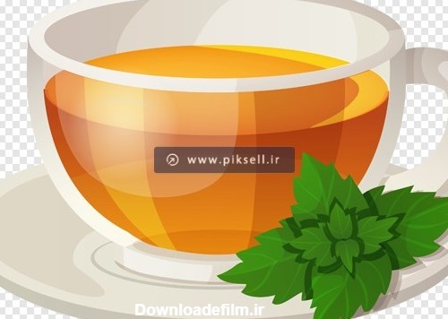 تصویر دوربری شده و با کیفیت فنجان چای سبز با پسوند PNG