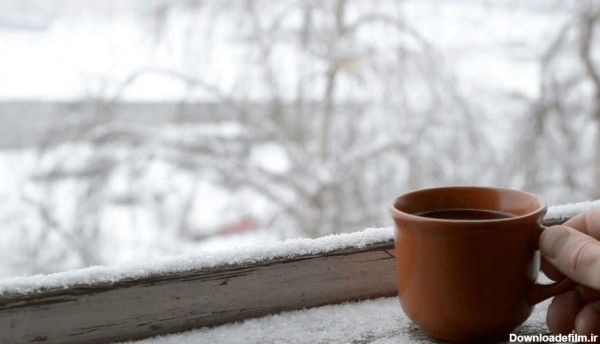 عکس چای زمستانی