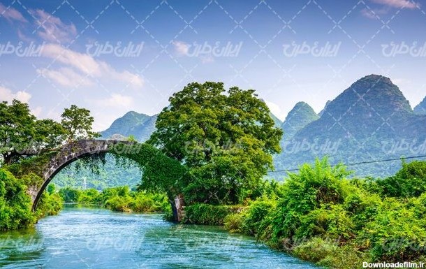تصویر با کیفیت منظره زیبای رودخانه به همراه درخت و پل ...