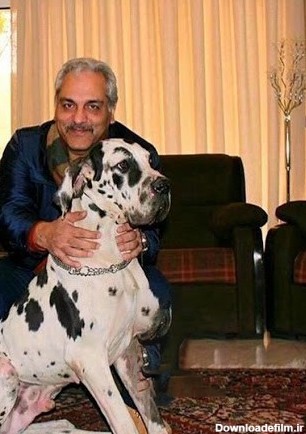 سگ غول پیکر و گران قیمت در خانه لاکچری مهران مدیری + عکس | رویداد24