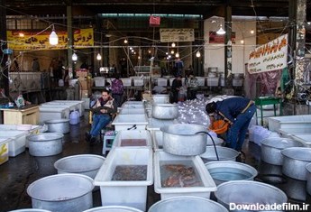 غرفه های فروش ماهی تزئینی سفره هفت سین در بازار مرکزی میوه و تره بار تهران