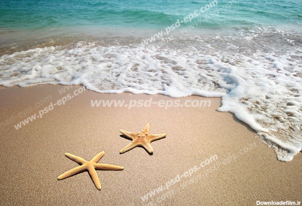 عکس با کیفیت ساحل ماسه ای دریا با موج آرام آب د دو ستاره دریایی ...