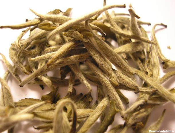 File:Bai Hao Yin Zhen tea leaf (Fuding).jpg - Wikimedia Commons