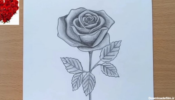 آموزش نقاشی گل رز بسیار زیبا