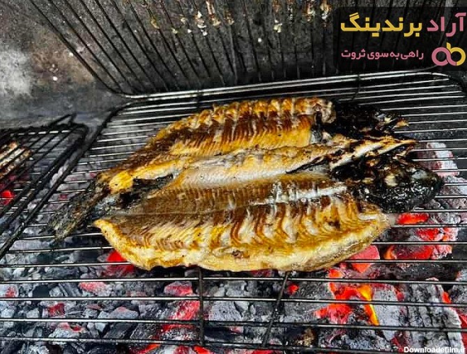 قیمت خرید ماهی قزل آلا کبابی + مشخصات، عمده ارزان - آراد برندینگ