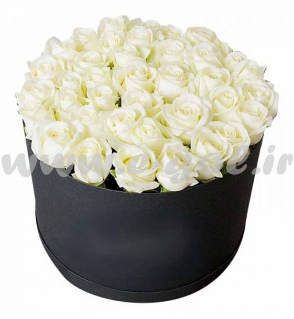 جعبه گل رز هلنی سفید مناسب برای جشن تولد | خرید گل در گل فروشی ...