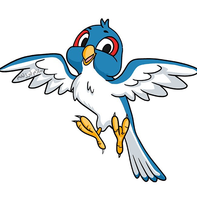 آموزش نقاشی پرنده کارتونی - پنجره ای به دنیای کودکان