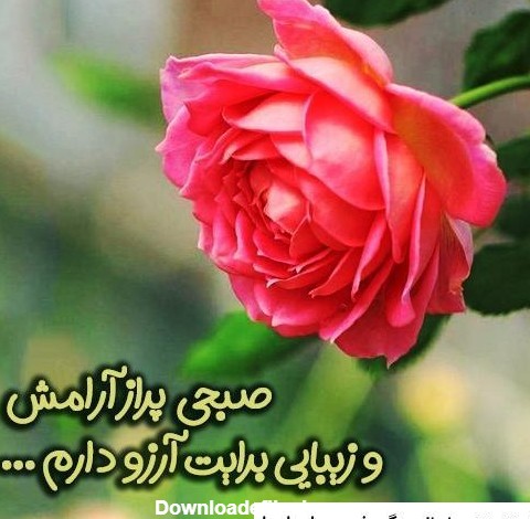 مجموعه عکس گل نوشته دار سلام صبح بخیر (جدید)