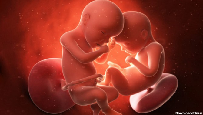 عکسهای جنین داخل شکم مادر