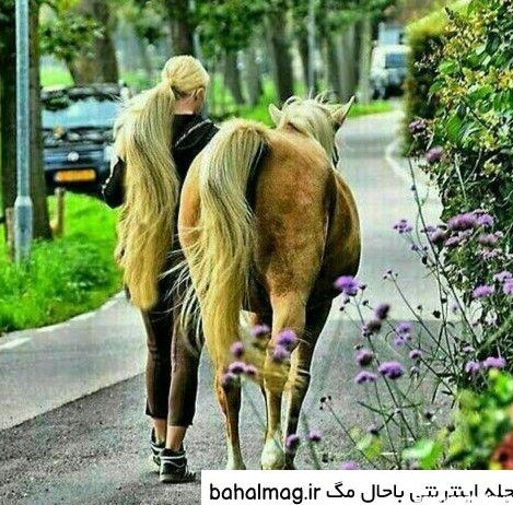 عکس های جالب روز