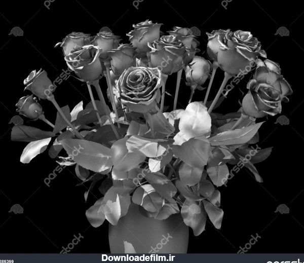 گل رز نقره در یک پس زمینه سیاه و سفید 1386369