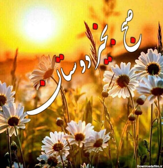 عکس صبح بخیر برای دوستان