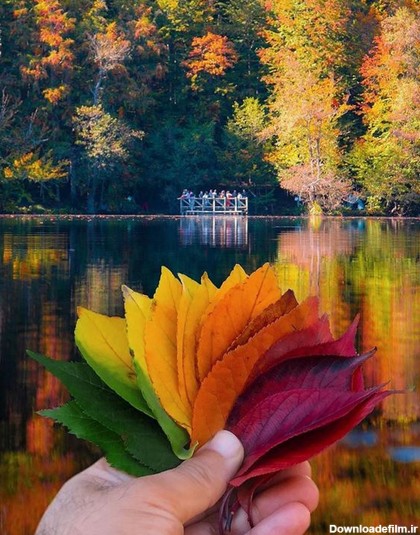 تصاویر زیبای پاییز در سراسر جهان