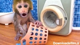 میمون بامزه __ حمام و شستشوی لباسها