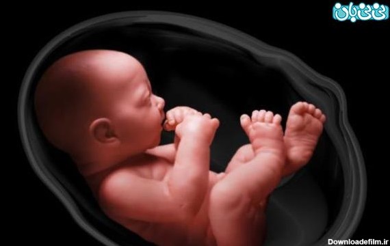8 سوال مهم مادران درباره حرکات جنین (6)