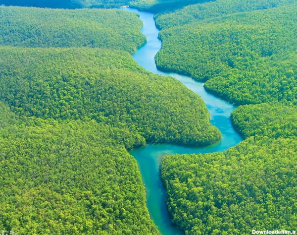 ببینید| جنگل‌‌های آمازون از نمای بالا