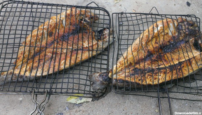 ماهی قزل الا کبابی - عکس ویسگون