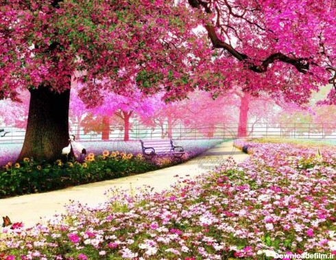 دانلود طرح پوستر دیواری درخت شکوفه صورتی چمن و گل