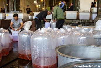 پر کردن  گاز اکسیژن در کیسه های ماهی قرمز جهت ارسال به نقاط مختلف ایران