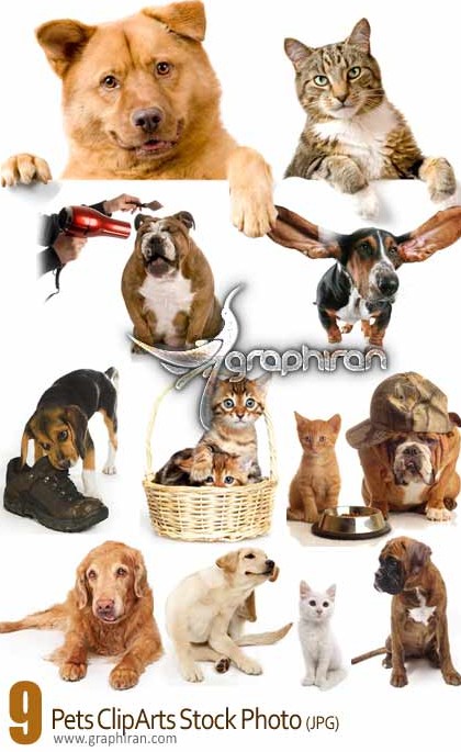 دانلود کلیپ آرت عکس های سگ و گربه - Pets Cliparts