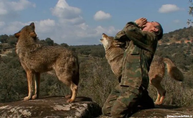 عکس | 12 سال زندگی با گرگ‌ها؛ مردی که از نجات‌ پیدا کردن پشیمان شد ...