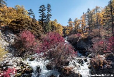 دانلود عکس آبشار رنگارنگ در جنگل پاییزی در حفاظتگاه طبیعی