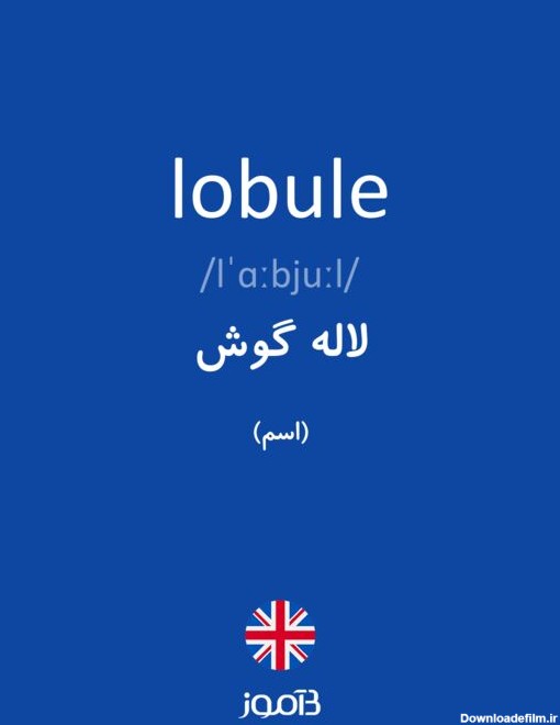 ترجمه کلمه lobule به فارسی | دیکشنری انگلیسی بیاموز