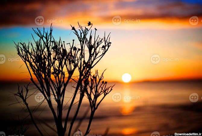 دانلود تصاویر پس زمینه نور خورشید منظره px غروب آفتاب ساحل آب دریا ...