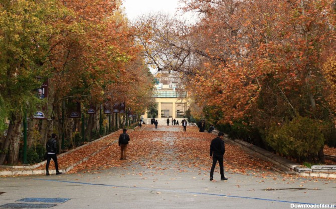 فرارو | (تصاویر) برگ‌ریزان زیبای پاییزی در دانشگاه تهران