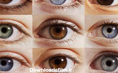 چند درصد مردم جهان چشم رنگی دارد؟ | رویداد24