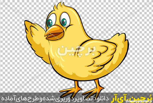 Borchin-ir-yellow-chicken-cartoon-design_03 عکس کارتونی جوجه یک روزه png2