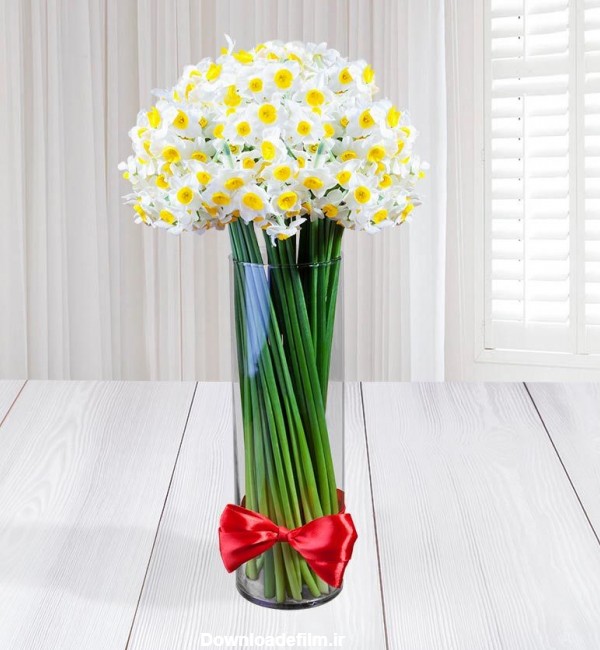 سفارش و خرید آنلاین گلدان گل نرگس | گل فروشی آنلاین گل بازار
