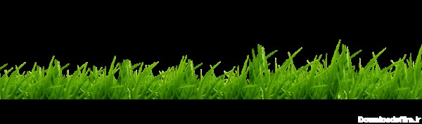 PNG چمن برای فتوشاپ - PNG Grass Image – دانلود رایگان