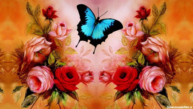 35 تصویر با کیفیت از گلهای رز همراه پروانه - اطمینان