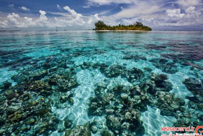زیباترین صخره های مرجانی جهان + تصاویر | لست سکند