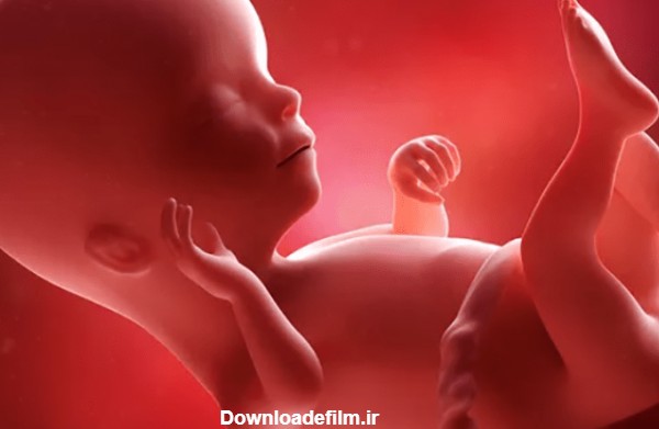 راهنمای کامل ماه چهارم بارداری + نکات مهم | شنیدن صداها توسط جنین
