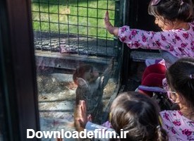 بازدید کودکان  از حیوانات در  باغ وحش ارم سبز