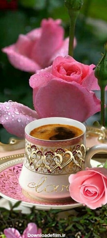 پس زمینه گل رز صورتی و چای فنجان      ☕☕ - عکس ویسگون