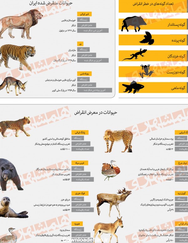 چندگونه جانوری در ایران در حال انقراض هستند؟